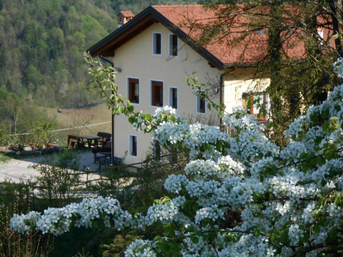 Agriturismo La Casa Nei Boschi Colderu Bagian luar foto