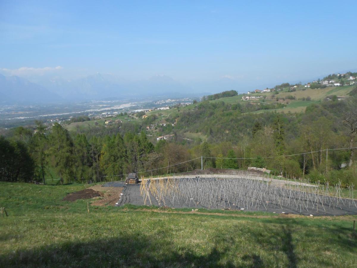 Agriturismo La Casa Nei Boschi Colderu Bagian luar foto