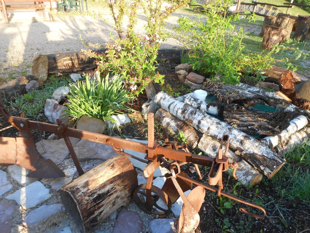 Agriturismo La Casa Nei Boschi Colderu Bagian luar foto