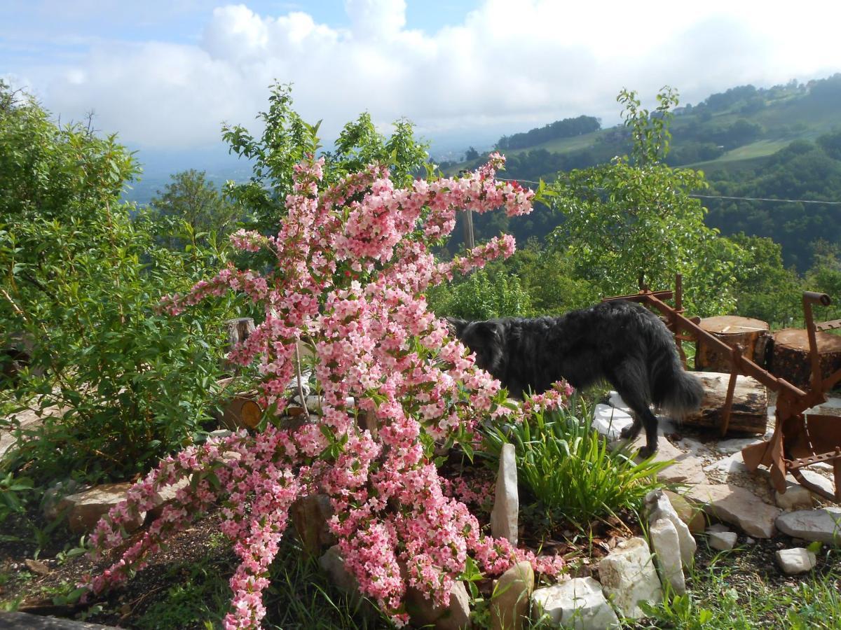 Agriturismo La Casa Nei Boschi Colderu Bagian luar foto