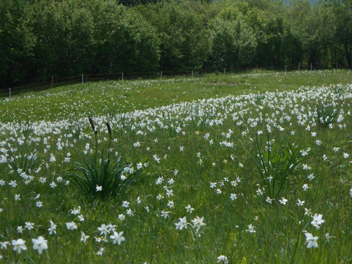 Agriturismo La Casa Nei Boschi Colderu Bagian luar foto
