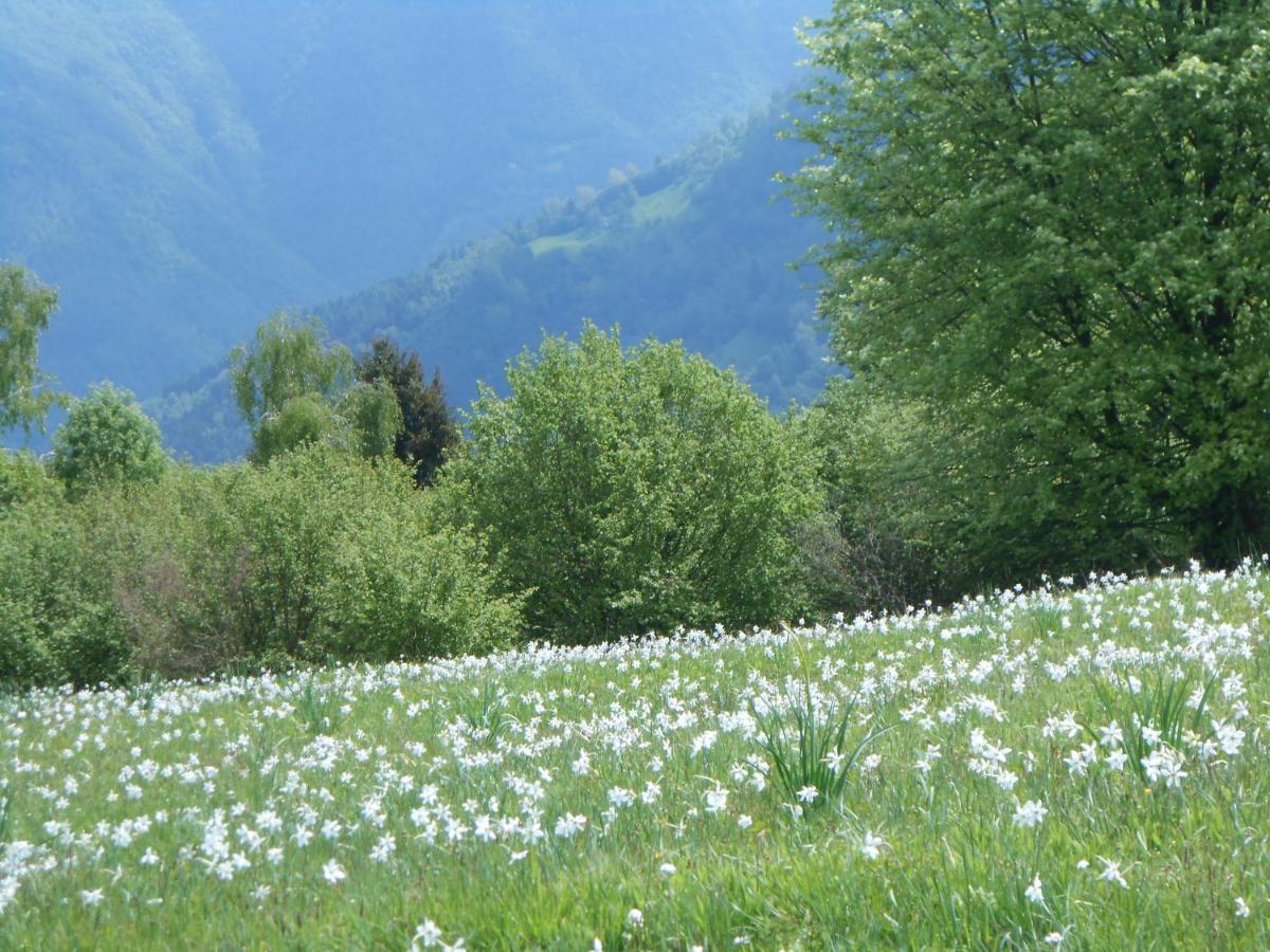 Agriturismo La Casa Nei Boschi Colderu Bagian luar foto