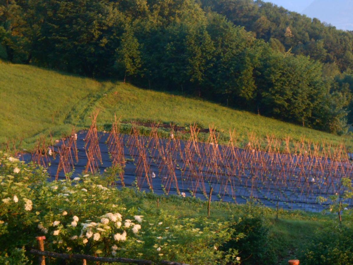 Agriturismo La Casa Nei Boschi Colderu Bagian luar foto