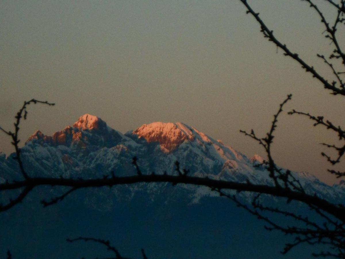 Agriturismo La Casa Nei Boschi Colderu Bagian luar foto