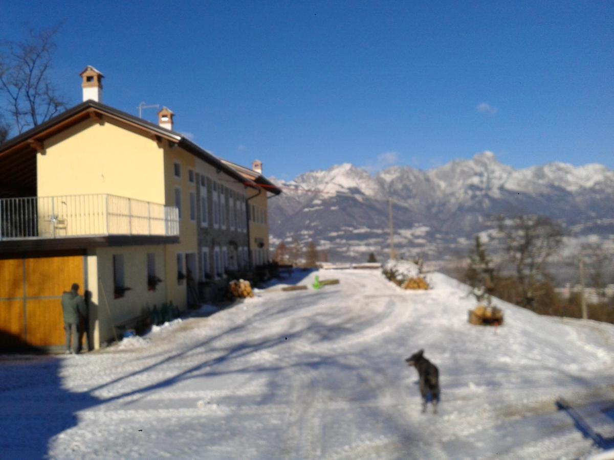 Agriturismo La Casa Nei Boschi Colderu Bagian luar foto