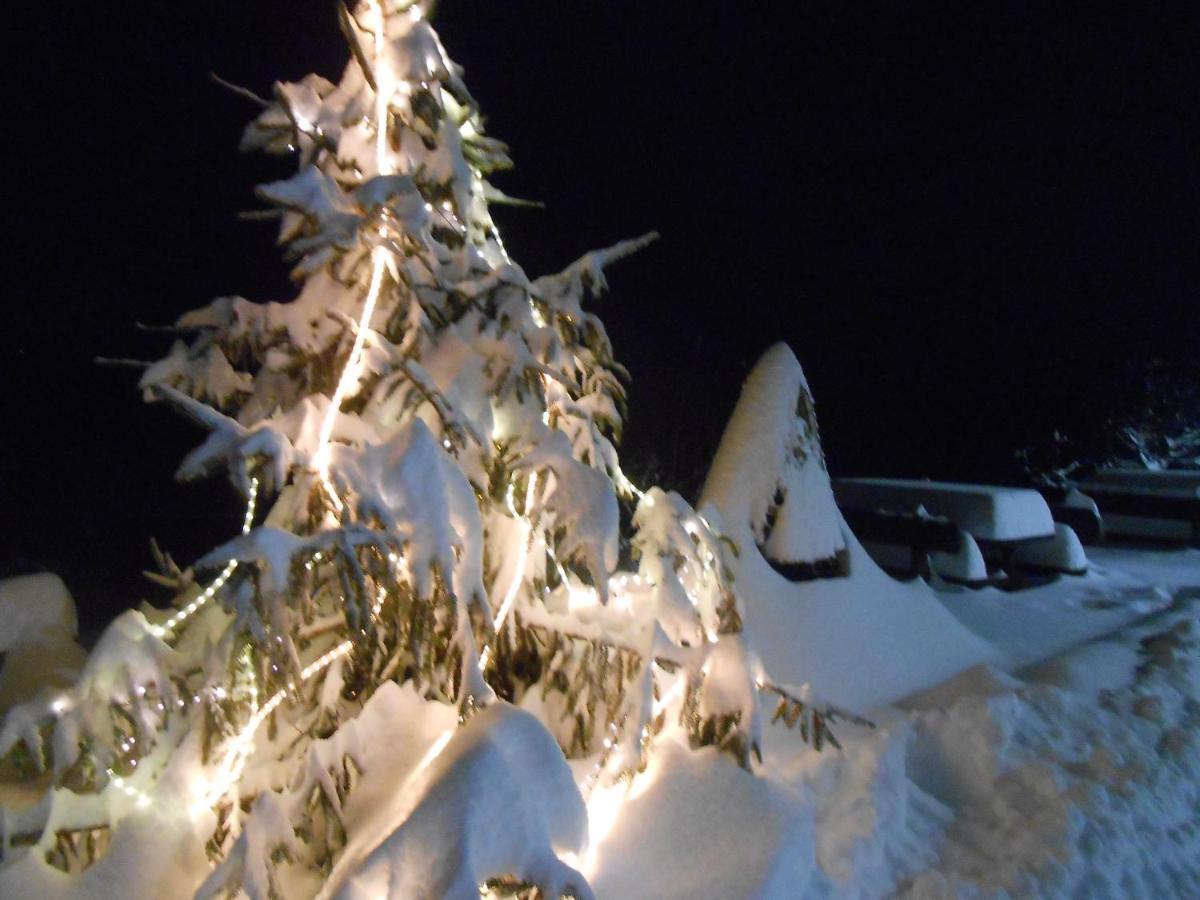 Agriturismo La Casa Nei Boschi Colderu Bagian luar foto
