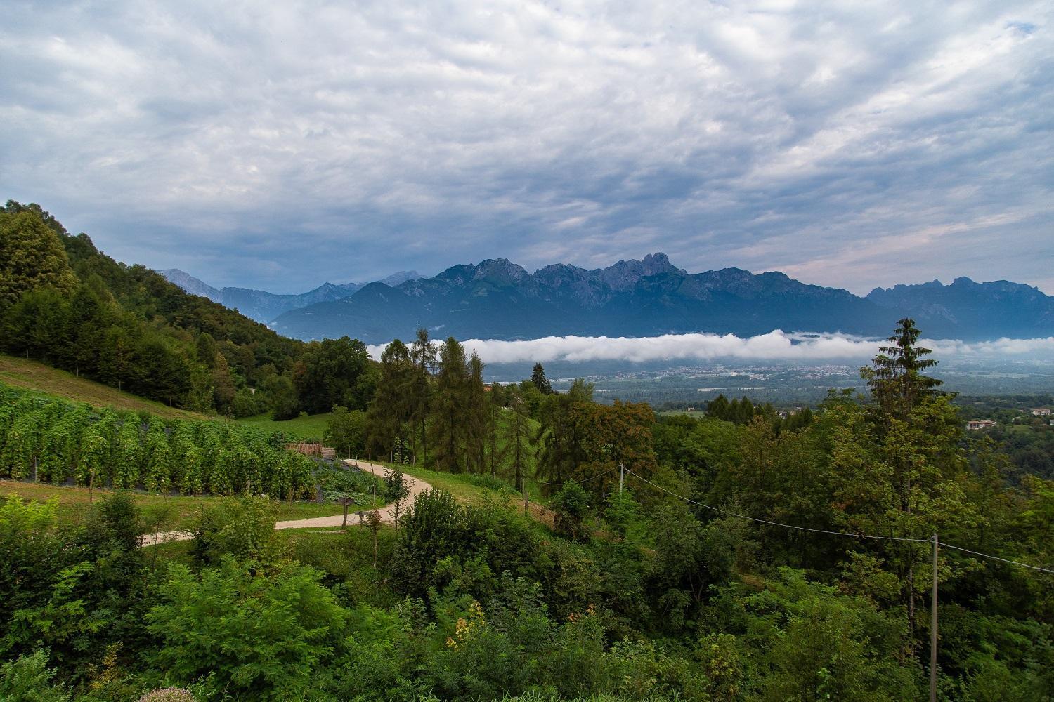 Agriturismo La Casa Nei Boschi Colderu Bagian luar foto
